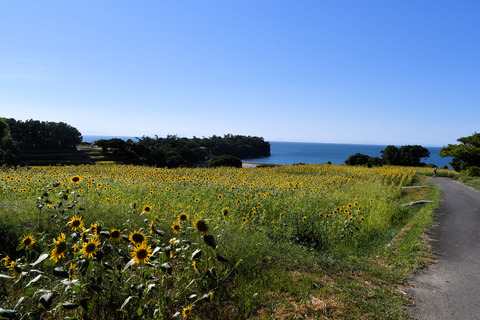 DSC_7716
