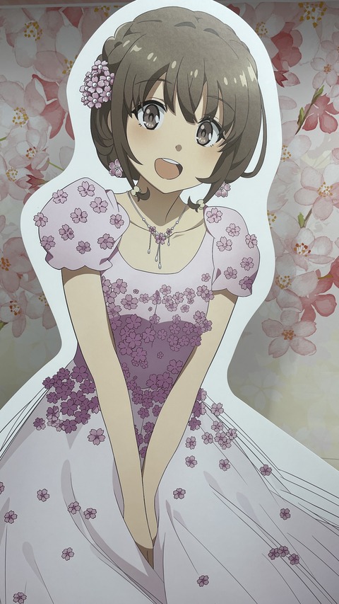 �ӥå�������ĥ֥������ (8)