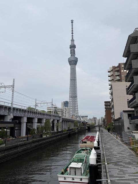 ������ܲ���������� (137)