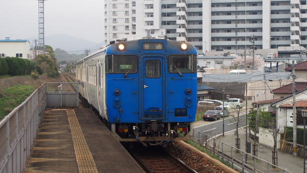 71fdf179.jpg