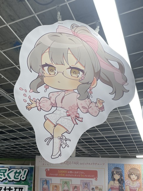 �ӥå�������ĥ֥������ (23)