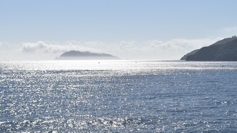 ��ͷ�ʤ��פǹԤ��͹� (7)