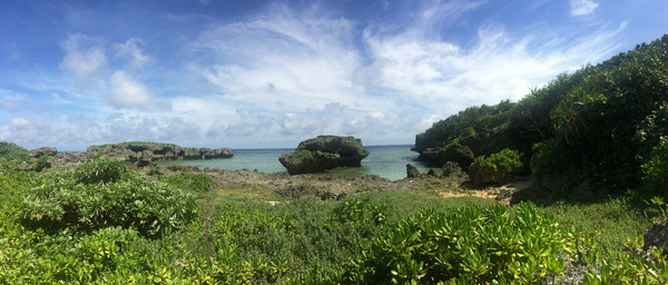 73eb56c0.jpg