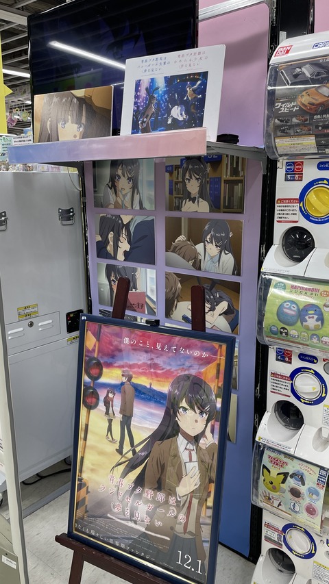 ���ĥ֥��˥��ɥ��륬����ƣ�� (25)