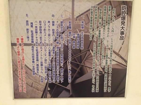 丹賀砲台園地 (44)