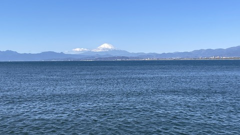 ���ĥ֥��˥��ɥ��륬����ƣ�� (49)