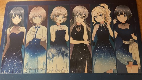 ���ĥ֥��˥��ɥ��륬����ƣ�� (71)