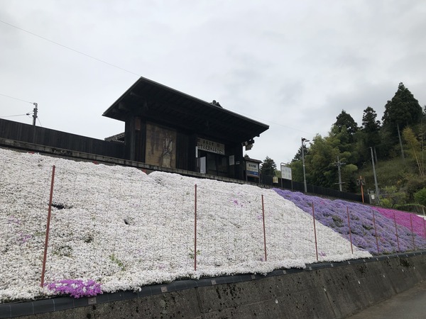 宮本武蔵 (11)