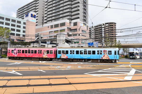 ちはやふる-結び-ラッピング電車 (21)