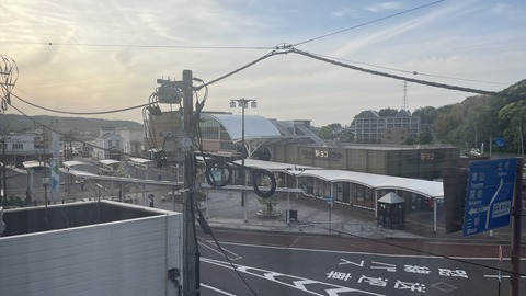 �դ������������ (55)
