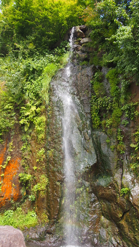 78f1a64e.jpg