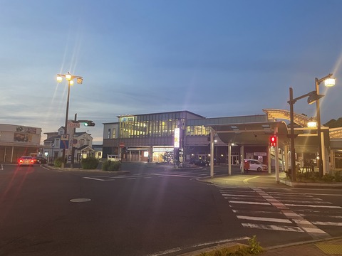 �դ������������ (61)