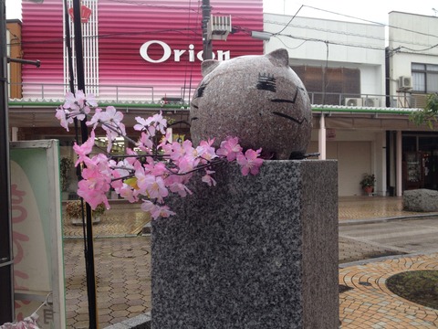 竹原桜2 (33)
