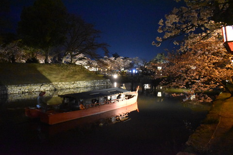 彦根城 (3)