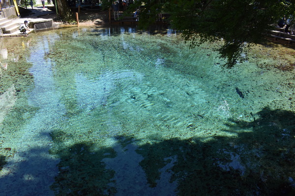 �Ƥ���ŷ�� (5)