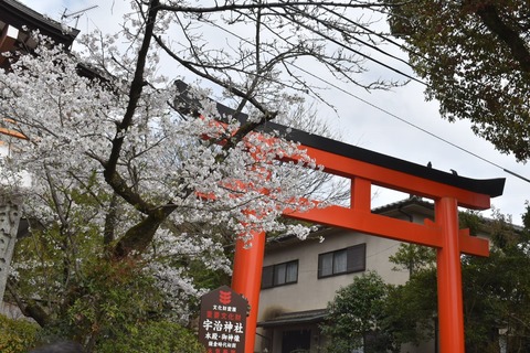 宇治 (4)