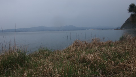 �����綶�ȶ����� (7)