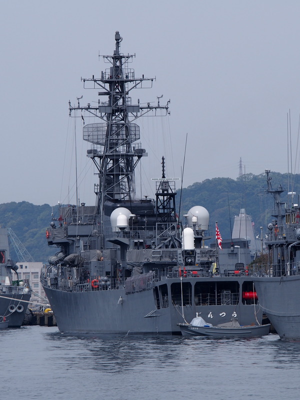 倉島岸壁で望遠レンズテスト (15)