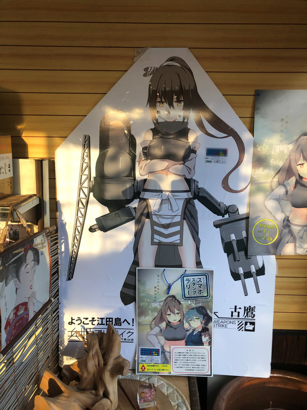 ʼɱ���ȥ饤���ʣ�������� (15)
