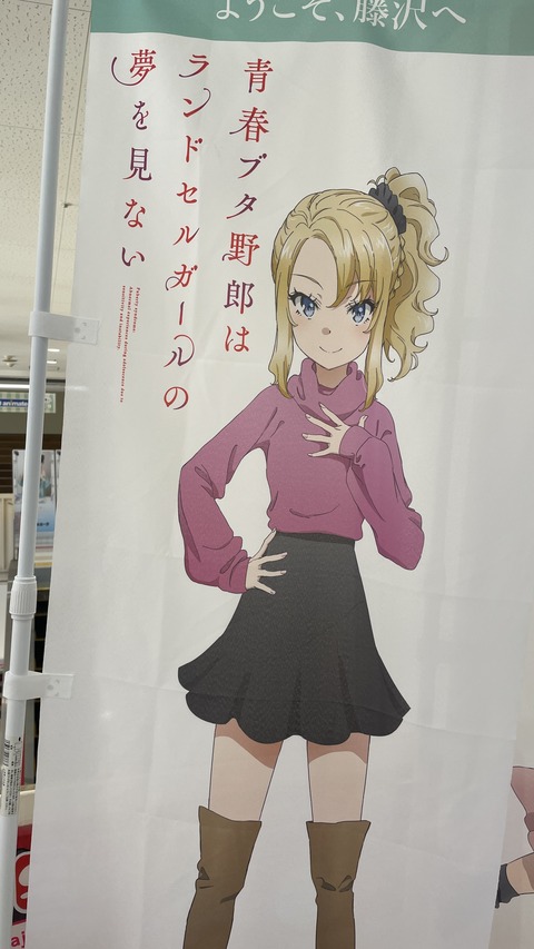 ���ĥ֥��˥��ɥ��륬����ƣ�� (55)