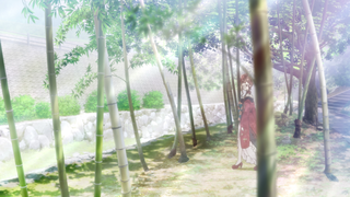 �����⻳ (4)