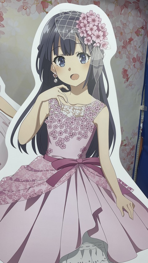 �ӥå�������ĥ֥������ (14)