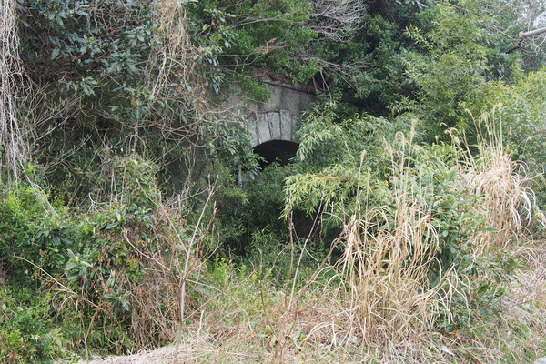 佐伯湾泊地 (32)