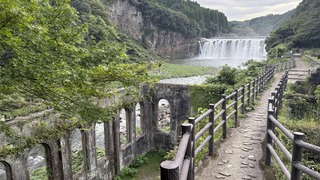 IMG_8791
