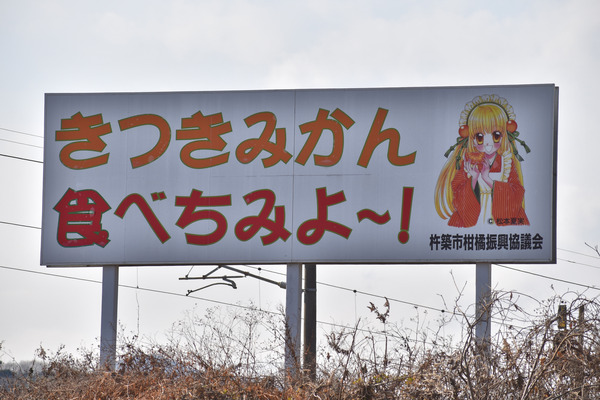杵築の美姫 (2)