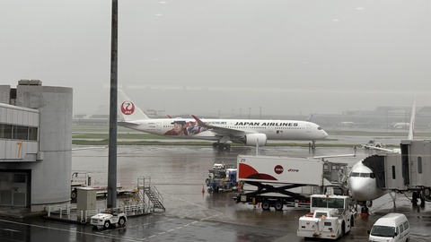 ����ؤΥե饤�� (4)