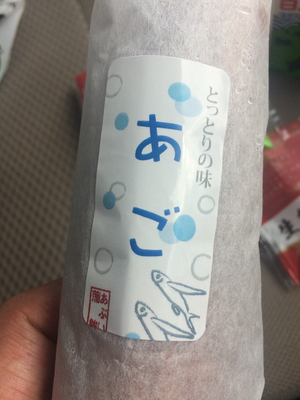 琴浦の水 (11)
