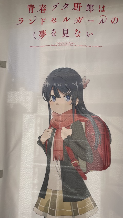 ���ĥ֥��˥��ɥ��륬����ƣ�� (53)