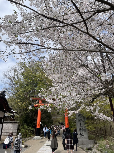 宇治 (2)