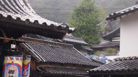 19照蓮寺前