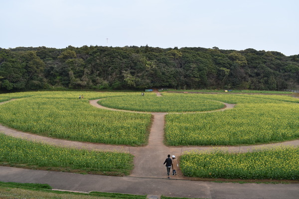 展海峰 (4)