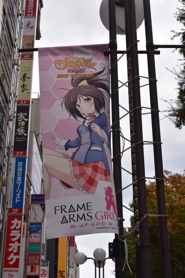 FAガールあにきゃんフラッグ (46)