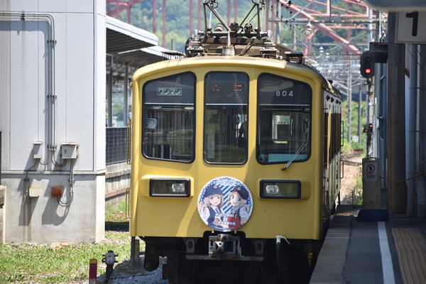 近江鉄道伊豆箱根鉄道コラボHM (22)