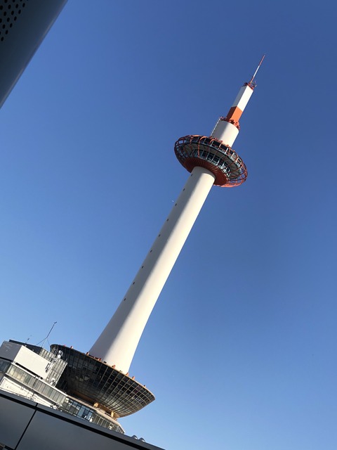 �����ƴ�2019 (54)