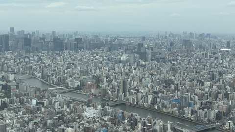 ������ܲ���������� (22)