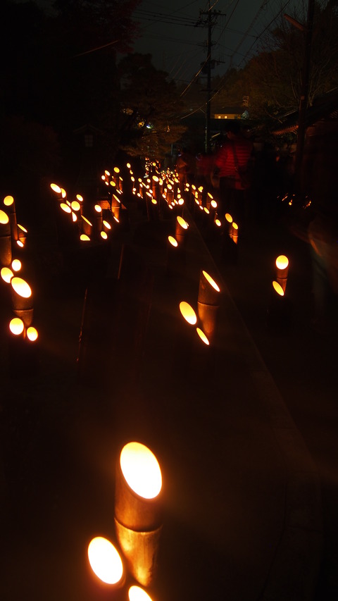 93cff052.jpg