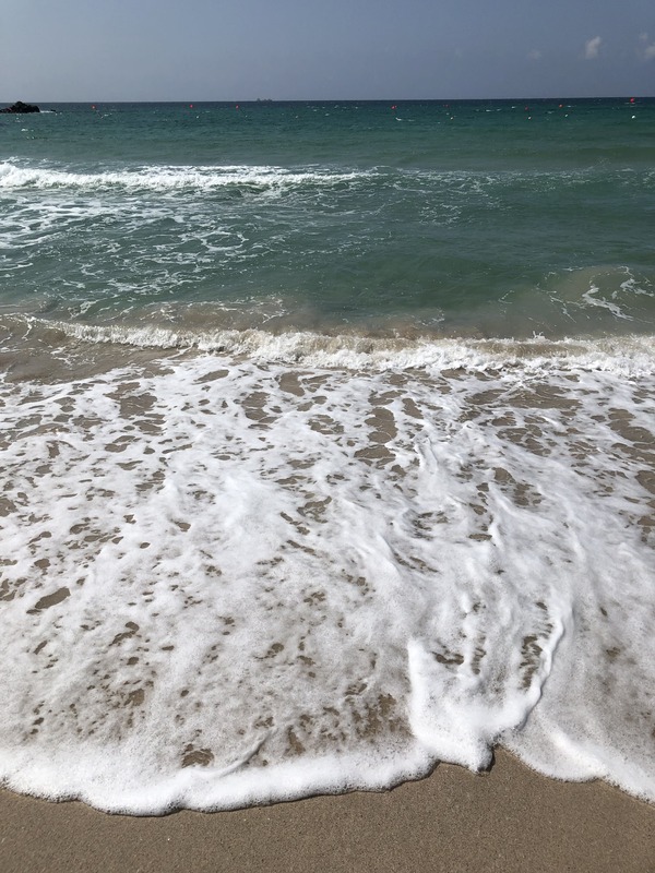 ��ҴϤ��֤��ޡ����ؤۤ� (51)