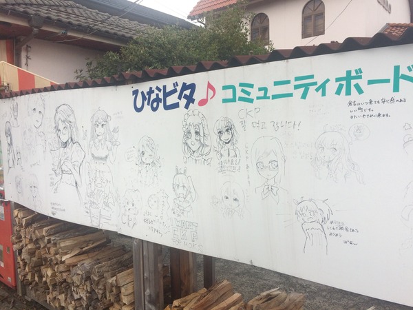 ダイアナさん (13)