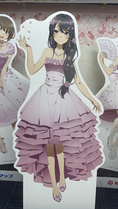 �ӥå�������ĥ֥������ (10)