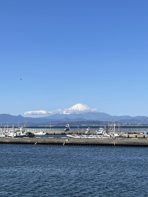 ���ĥ֥��˥��ɥ��륬����ƣ�� (48)