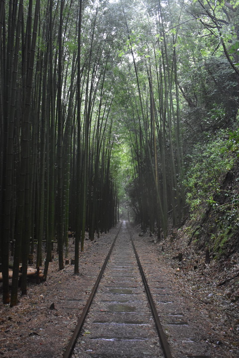 Nicon_kurayoshi (3)