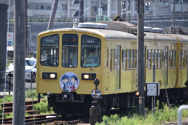 近江鉄道伊豆箱根鉄道コラボHM (23)