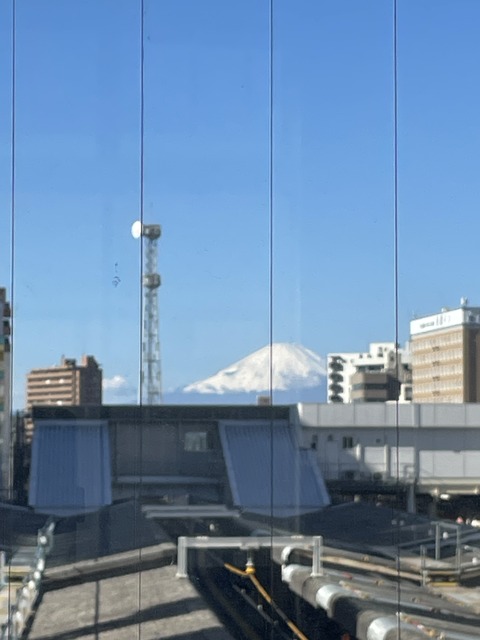 ���ĥ֥��˥��ɥ��륬����ƣ�� (44)