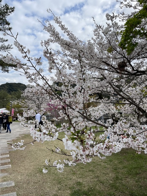 宇治 (7)