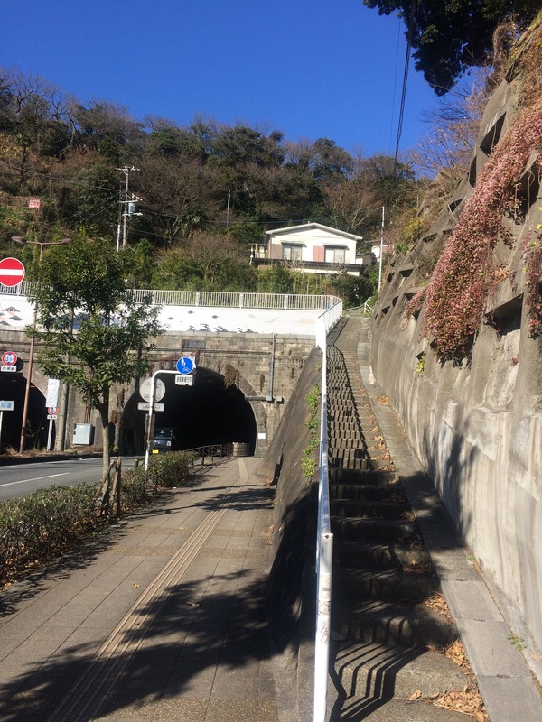 横須賀護衛艦WC編 (44)