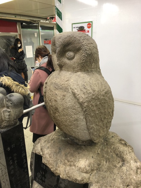 �ӥå���̼��������� (3)